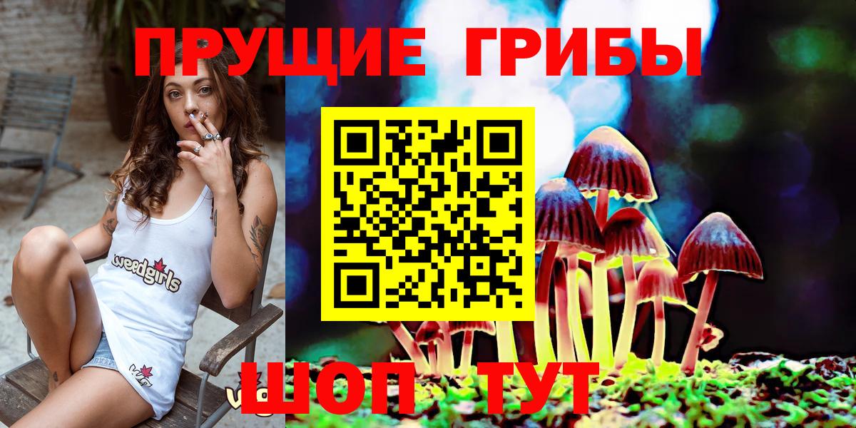 Галлюциногенные грибы GOLDEN TEACHER  Вход с VPN  Волжск 